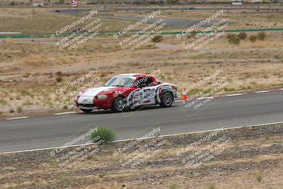 media/May-03-2025-Lucky Dog Racing (Sat) [[206de64b9d]]/Turn 6 (150pm-230pm)/